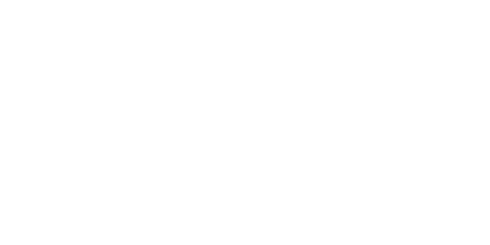 Logo Vizart