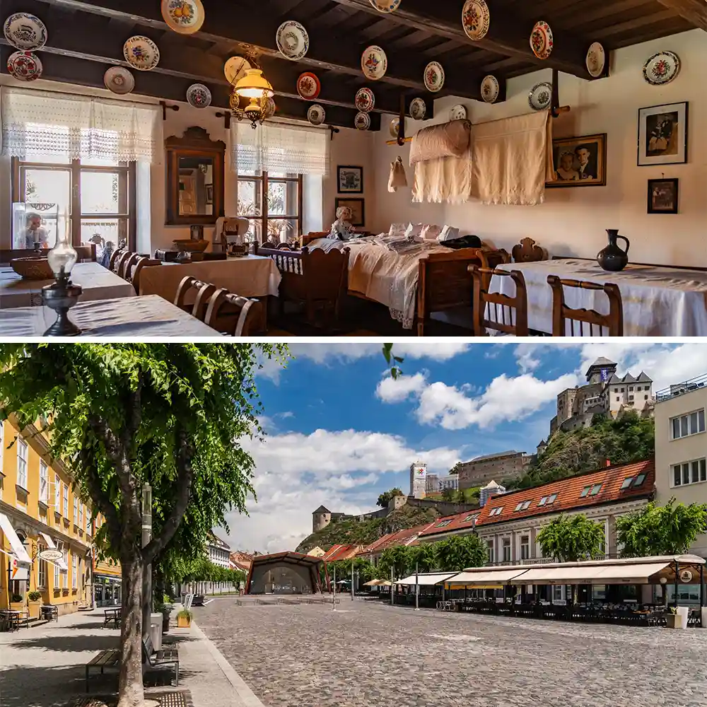 región trenčín case study