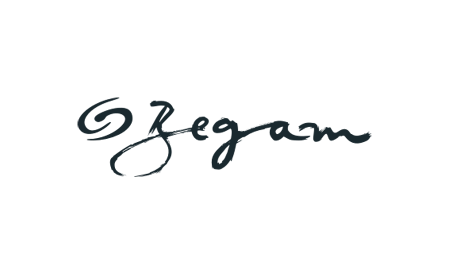 logo begam